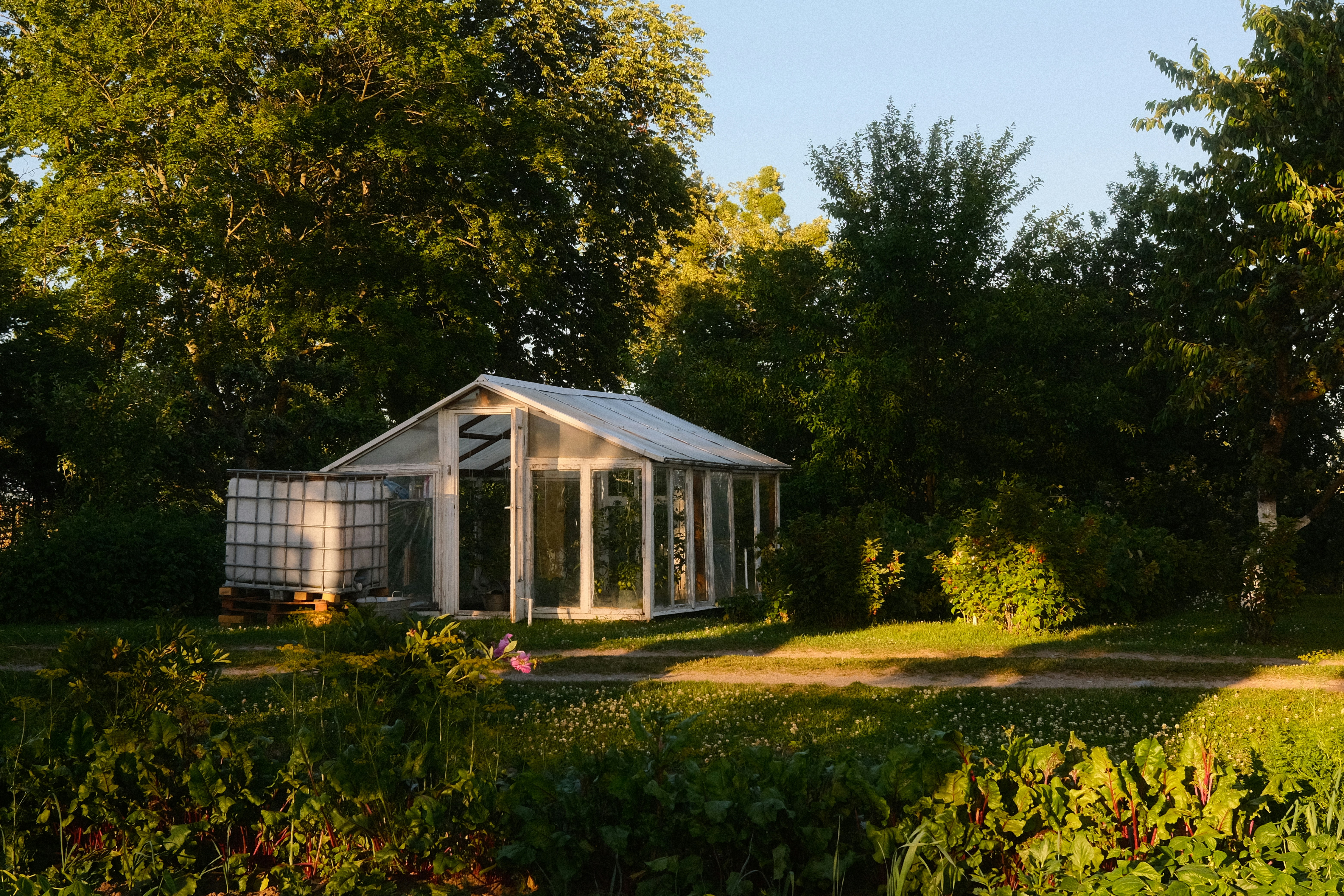 Serre dans le jardin