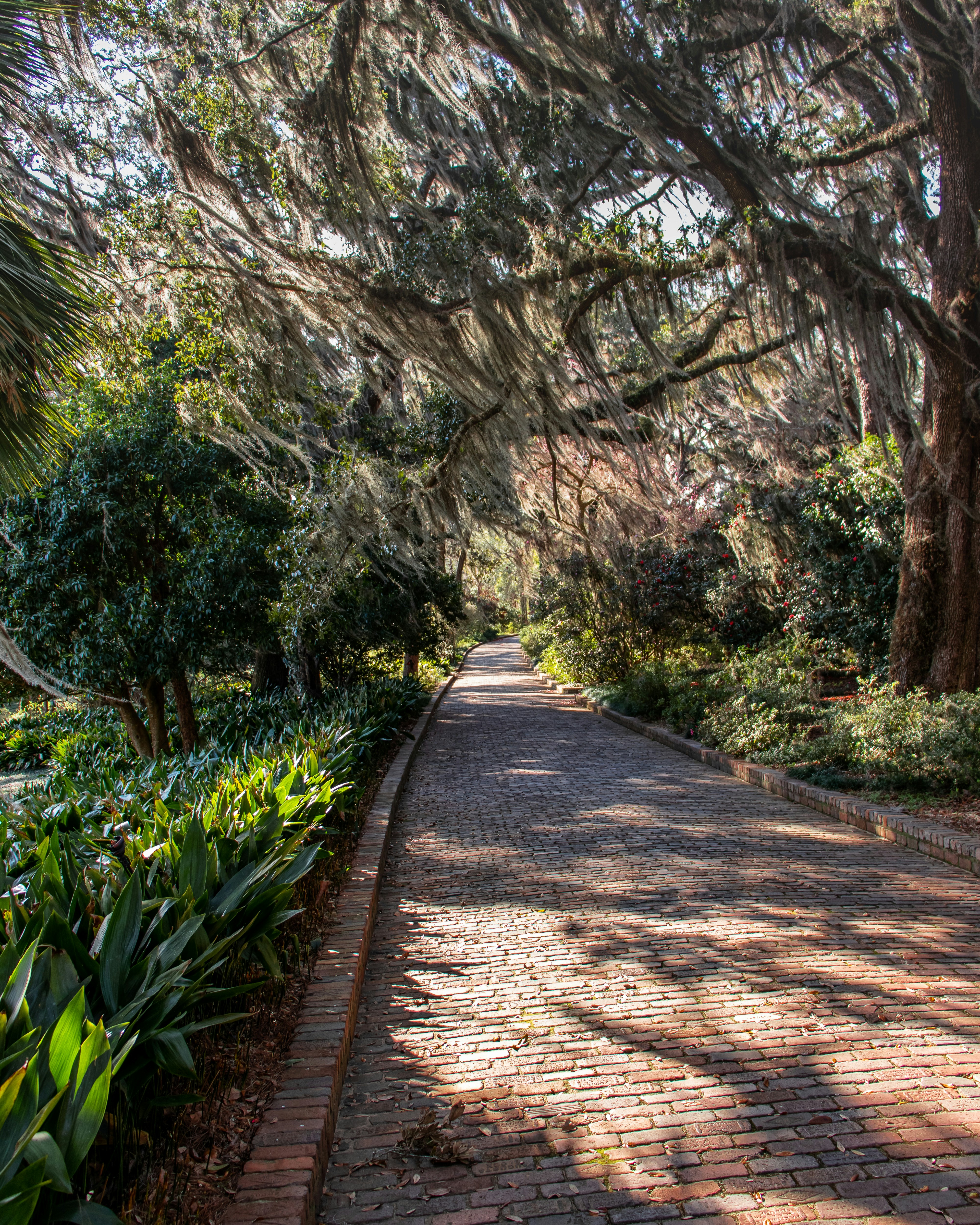 Allée de jardin
